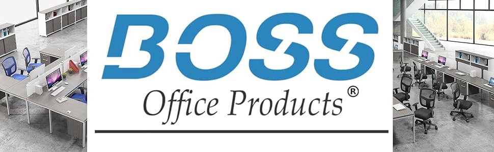 Boss Banner Logo 10-22-24