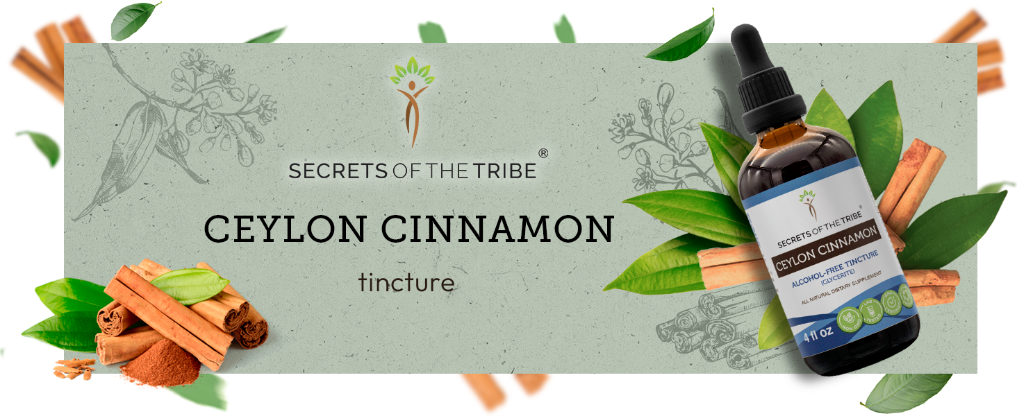 Ceylon Cinnamon