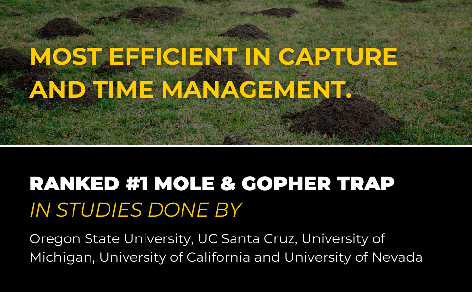 Most efficient mole and gopher traps