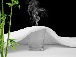 mattress protector