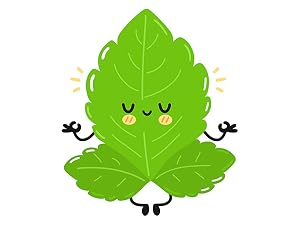 Enzo Stevia Leafs Meditation
