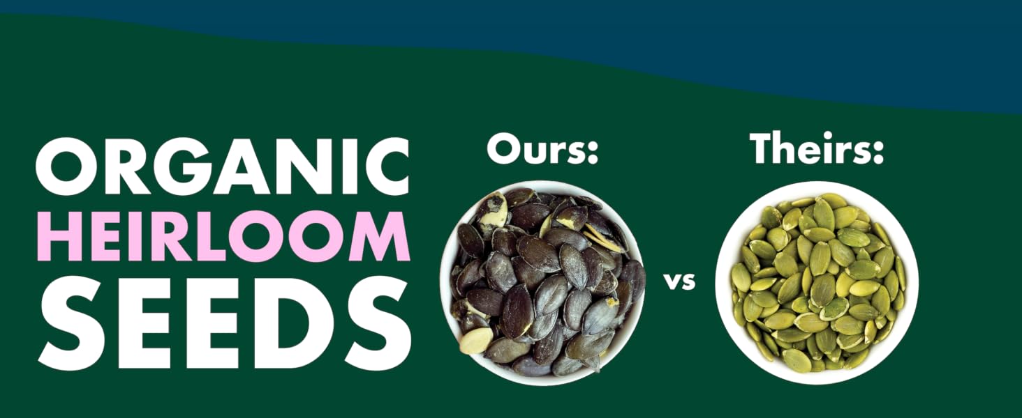 Styrian variety heirloom pumpkin seeds, organic.