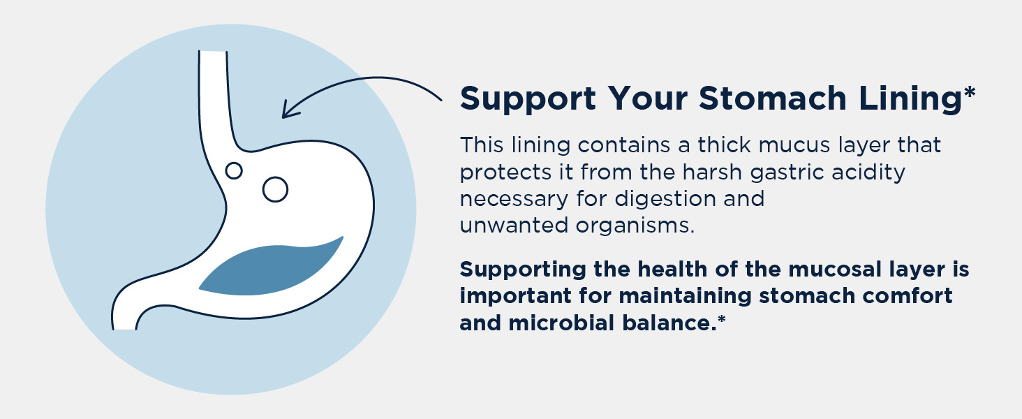 gut support supplements zinc-carnosine gut motility supplement mastic gum supplement