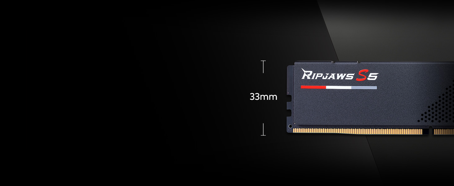 ripjaws s5 ddr5 low profile memory