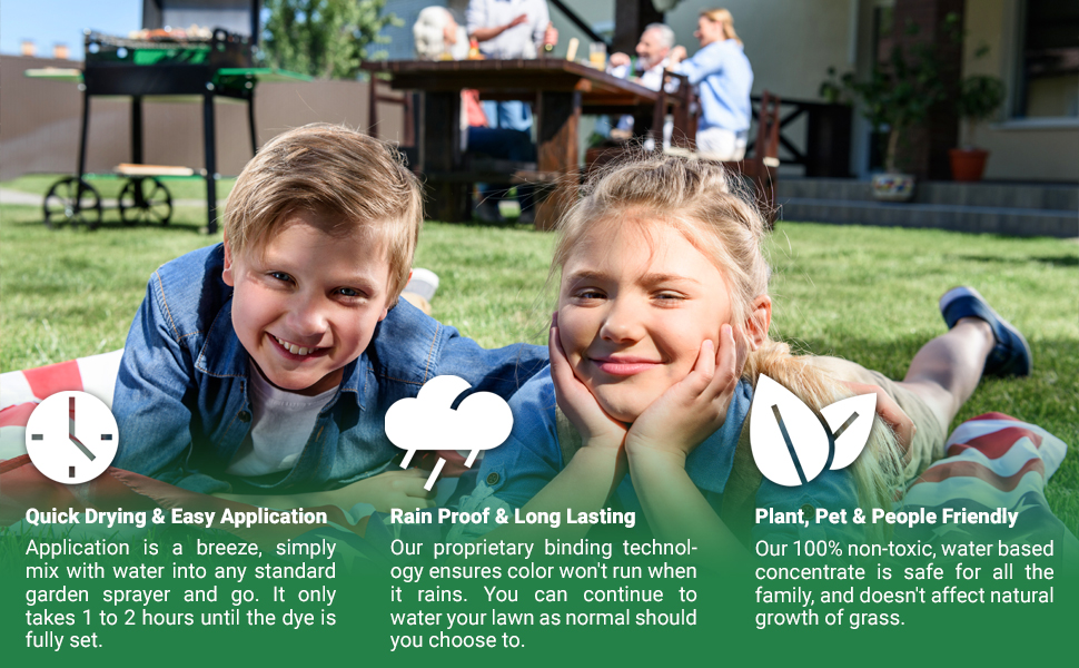 lawnstar grass paints benefits &amp; features