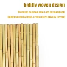 bamboo fence