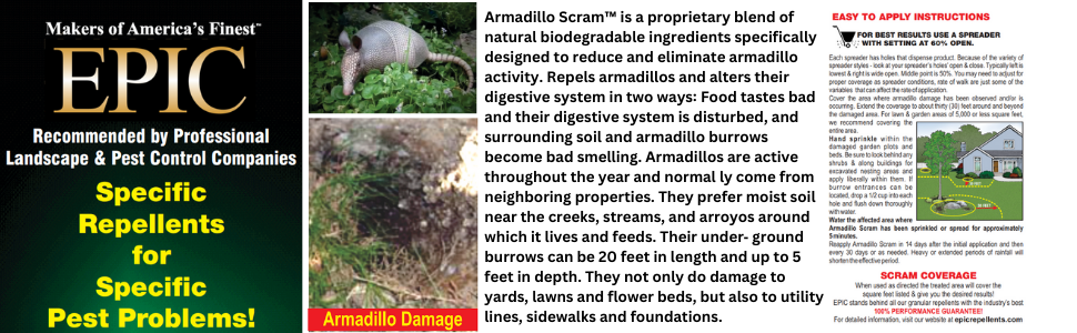 Armadillo