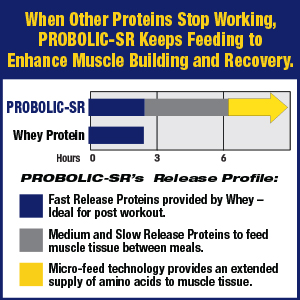 sustained release muscle feeder anabolic anti-catabolic protein powder drink mix