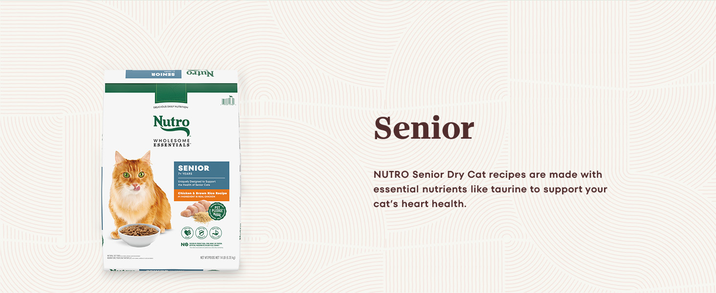 nutro dry cat