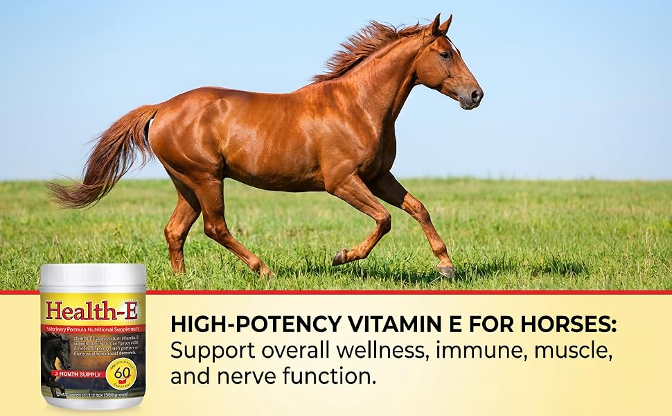 Horse running with Health-E vitamin E supplement for equine wellness support