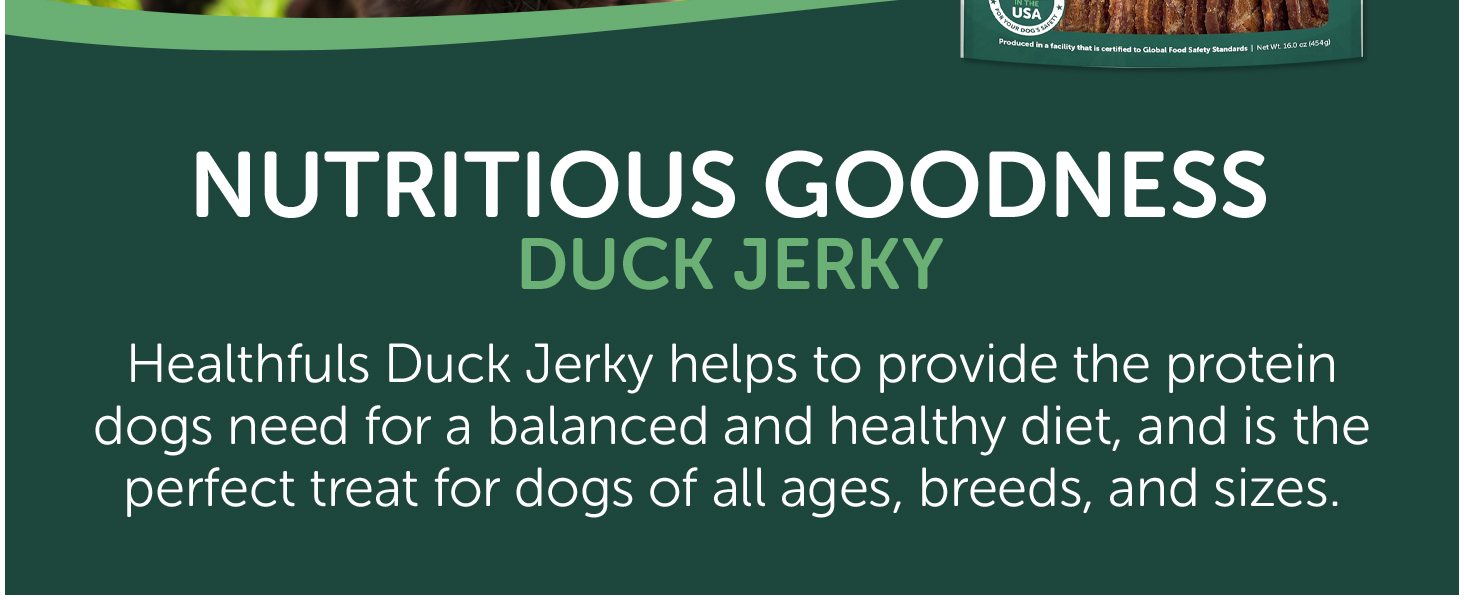 Healthfuls Chicken Jerky Dog Treats