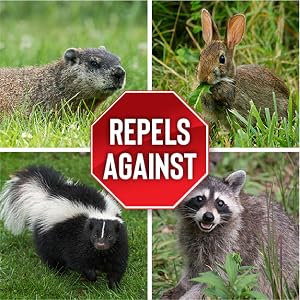 Repels against rabbits skunks groundhogs racoons