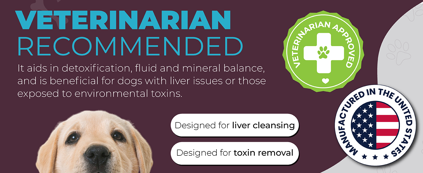 Vet Recommended Dog Supplement