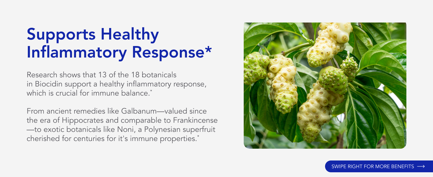 Broad-Spectrum Botanical Drops for Microbiome Balance Biofilm Buster Gut Detox Cleanse Routine