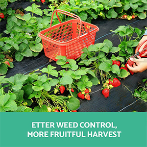 weed control gabric