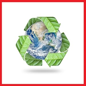 bsdt earth