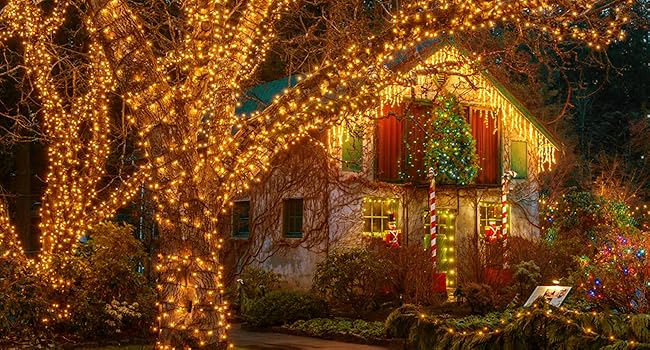 Solar String Lights