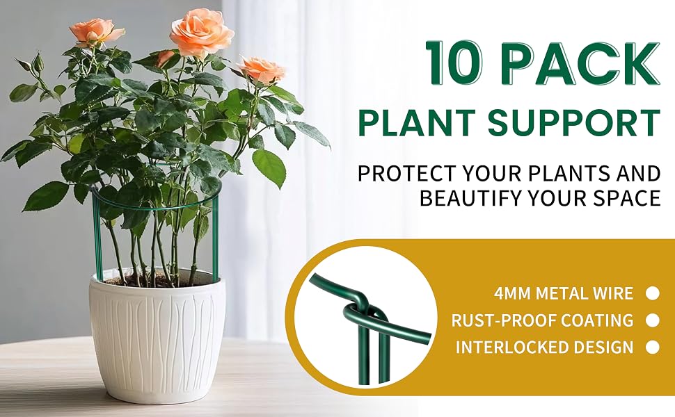 plant supports