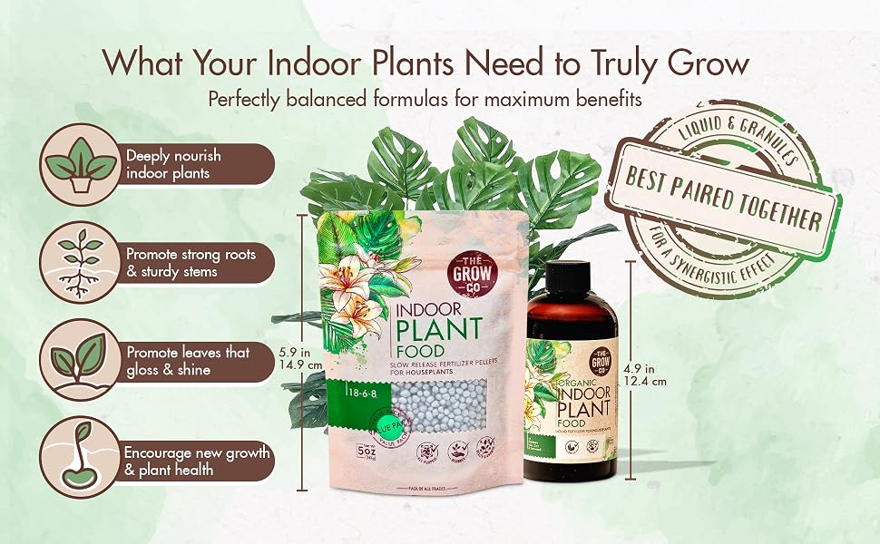 Indoor plant
