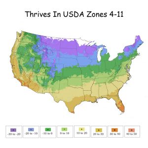 Growing Zones