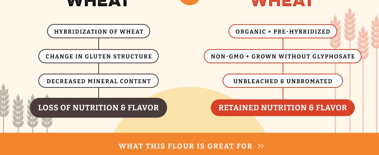 whole wheat flour, whole wheat flour for bread, heritage wheat flour, organic whole wheat flour