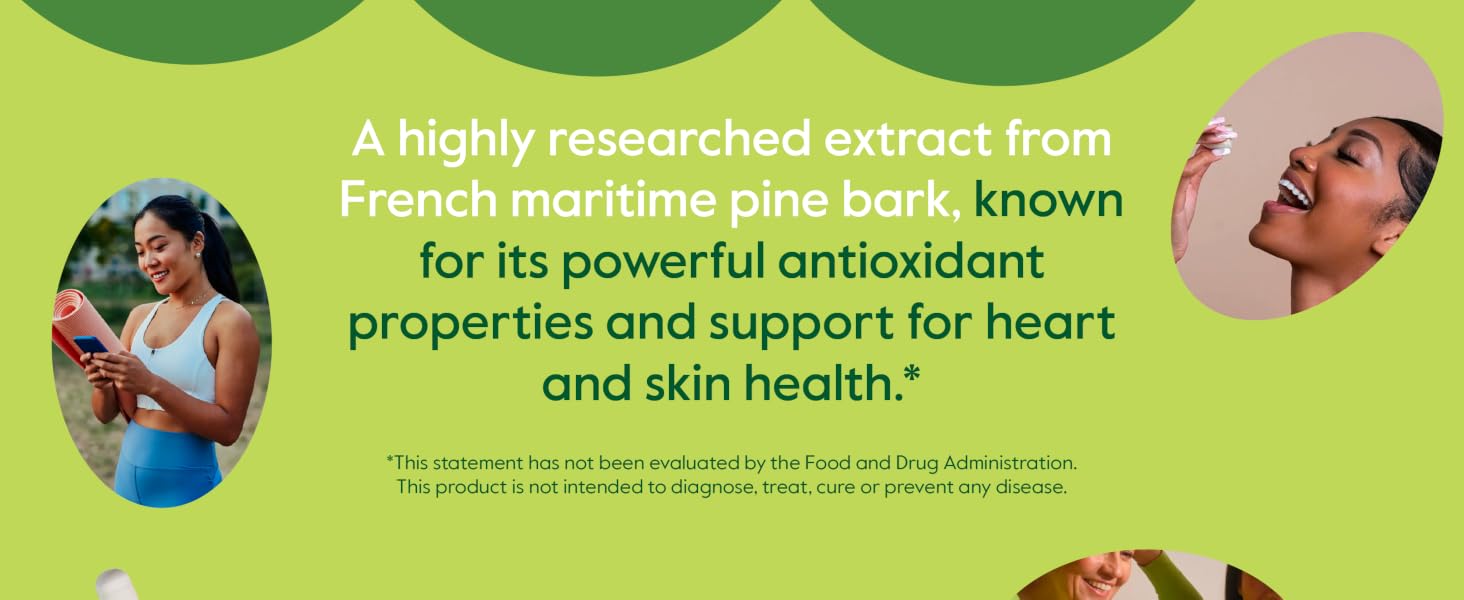 pine bark extract french pine bark extract pine bark 100mg