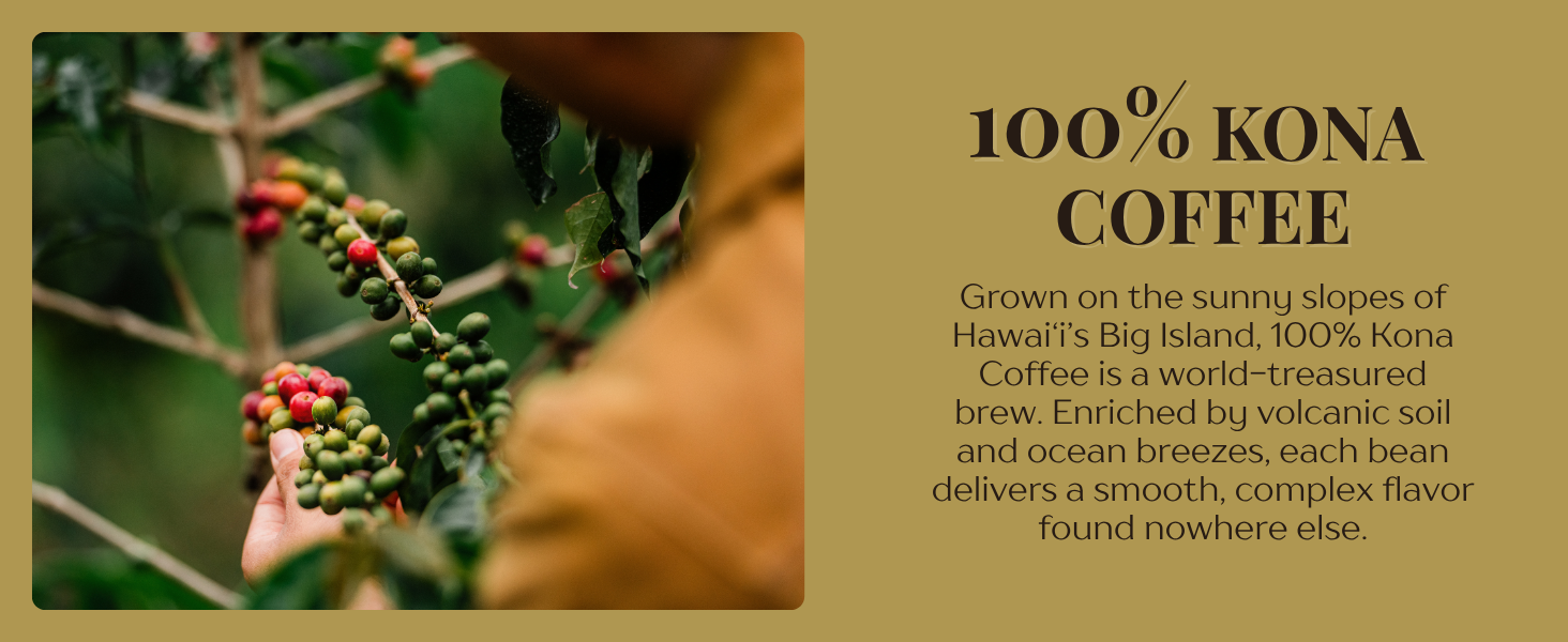 100% Kona Coffee, grown in Hawaii, enriched by volcanic soil and ocean breezes