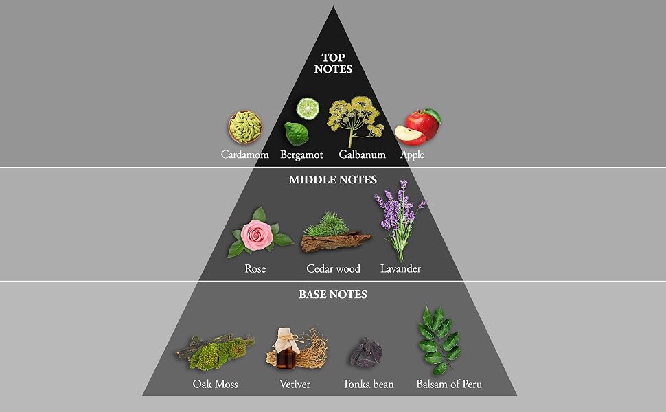 olfactory pyramid whisky red
