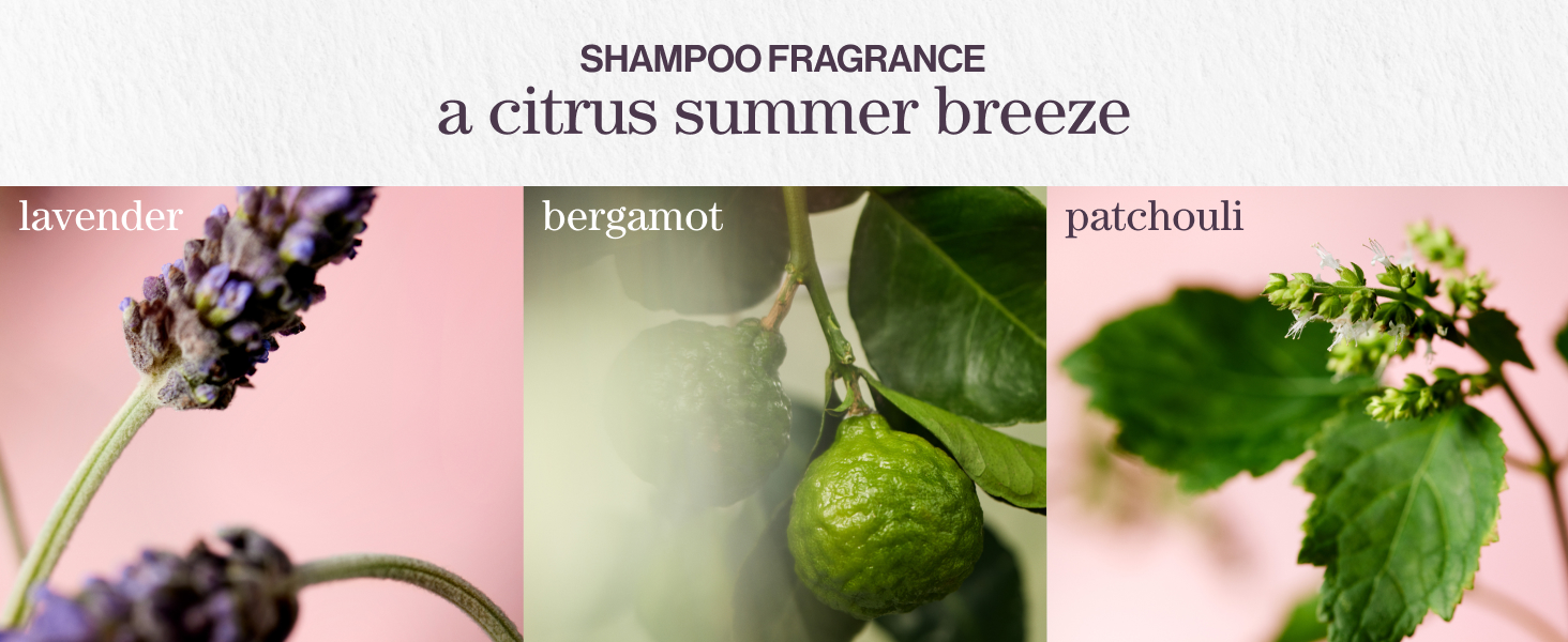 shampoo fragrance