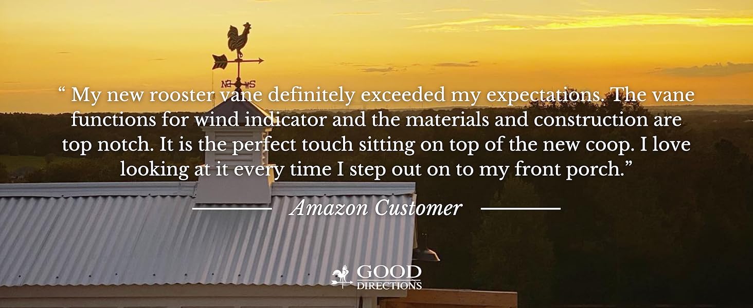 Customer review with rooftop weathervane at dusk