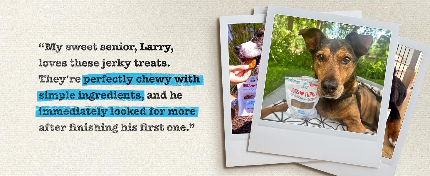 larry loves dogs love