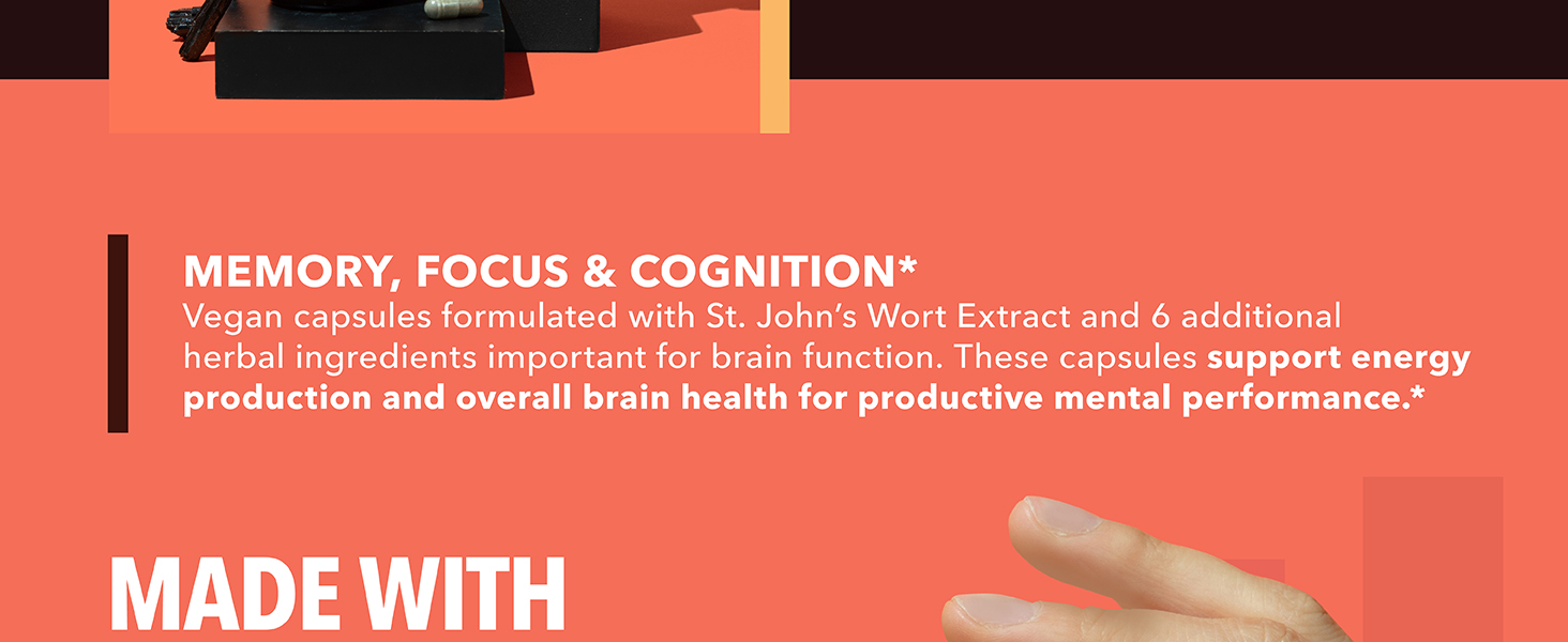 brain supplements for memory and focus st johns wort nootropic memory supplement for brain