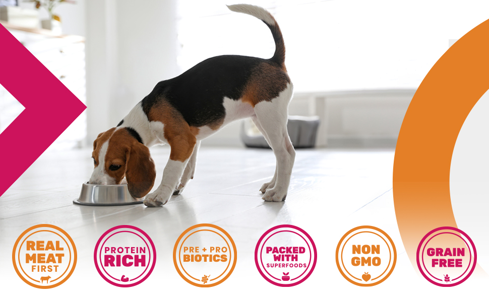 Nude Food Dog Kibble Benefits