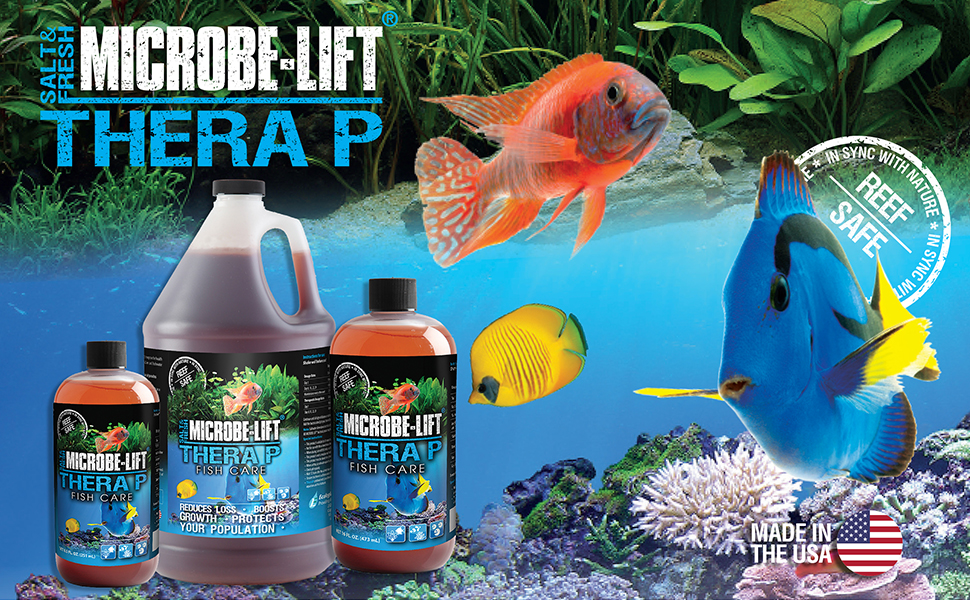 therap banner