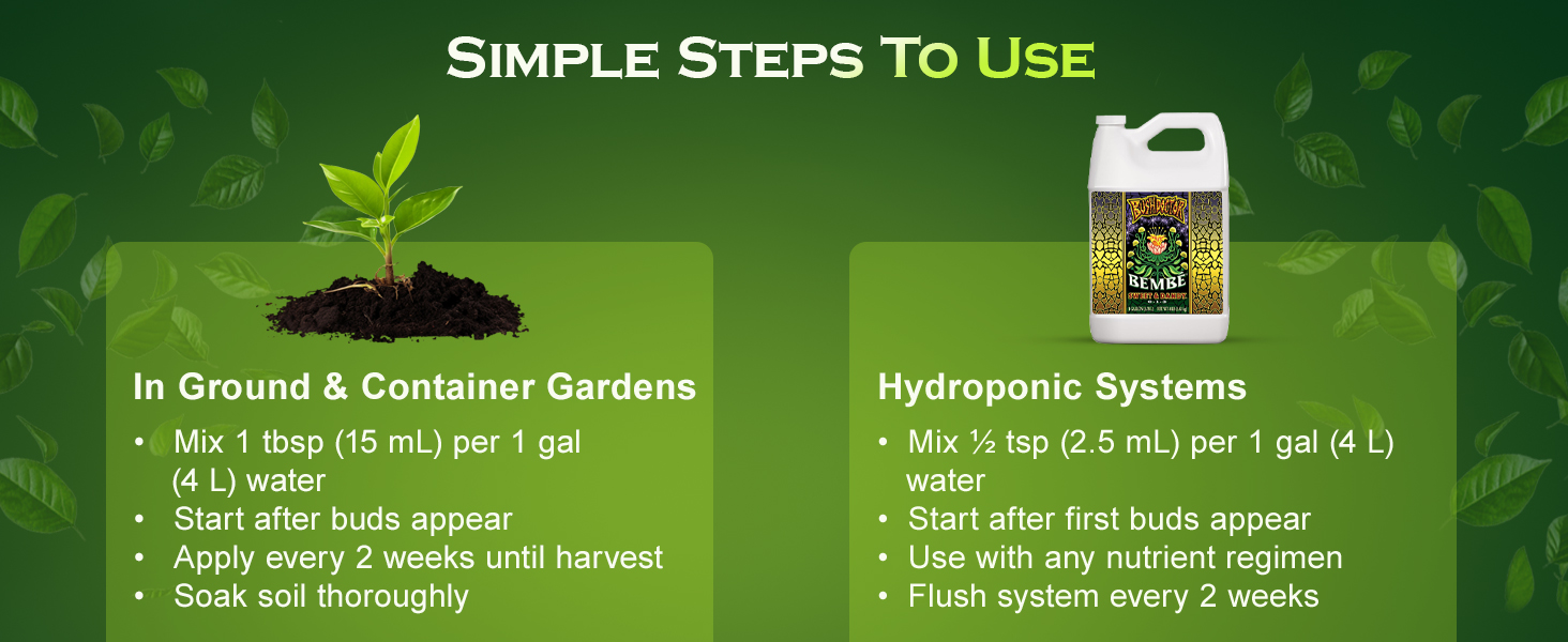 Bushdoctor Bembé Concentrate