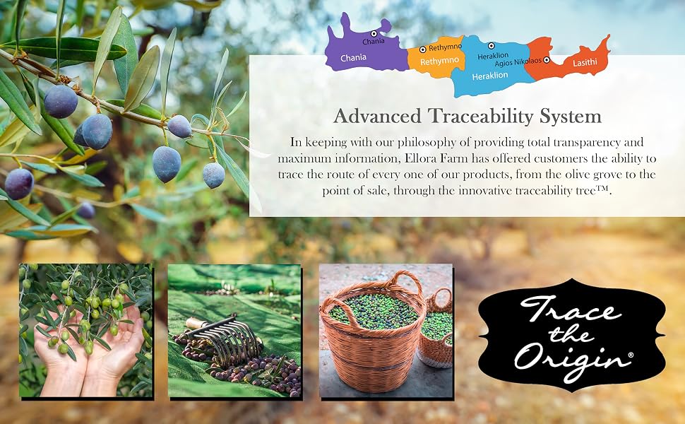 Traceability Tree A+ Page