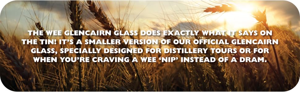 Glencairn Whiskey Glass - Whisey Gift - snifter - scotch