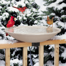 fountain home yard water garden weight bath heated bloom birdbath copper unique tiny deep outside