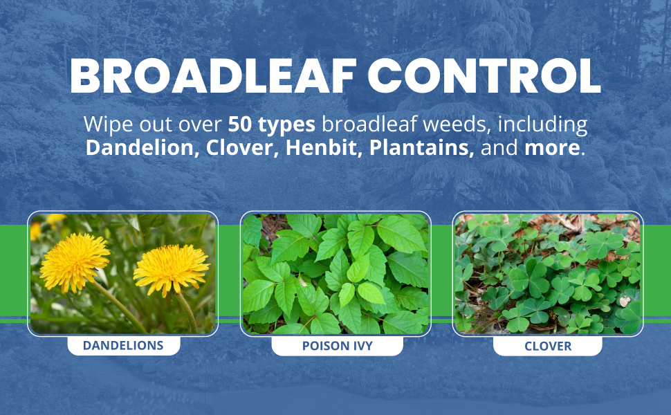 broadleaf control
