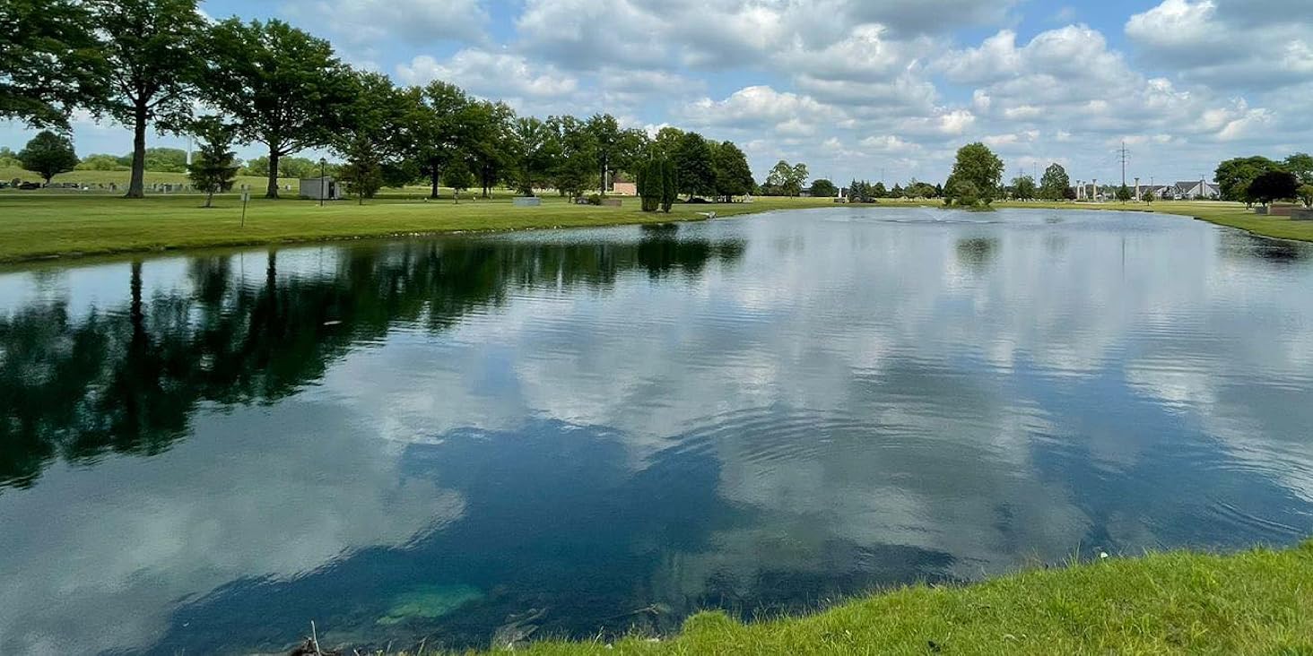 Tsunami DQ Submerged Weed Control