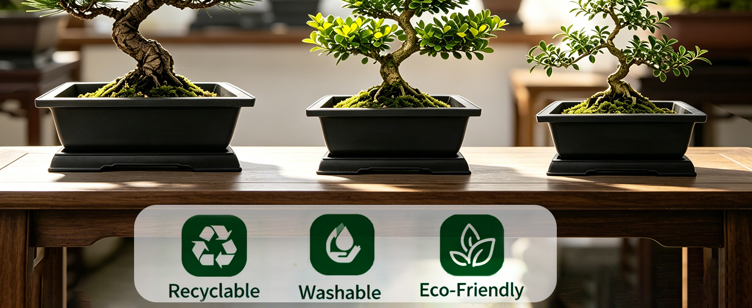 Bonsai Plant pot with saucer