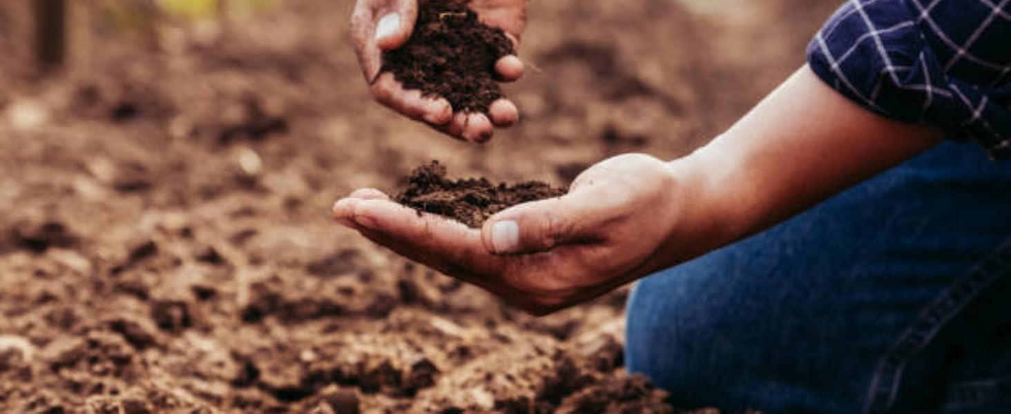 Soil Amendment