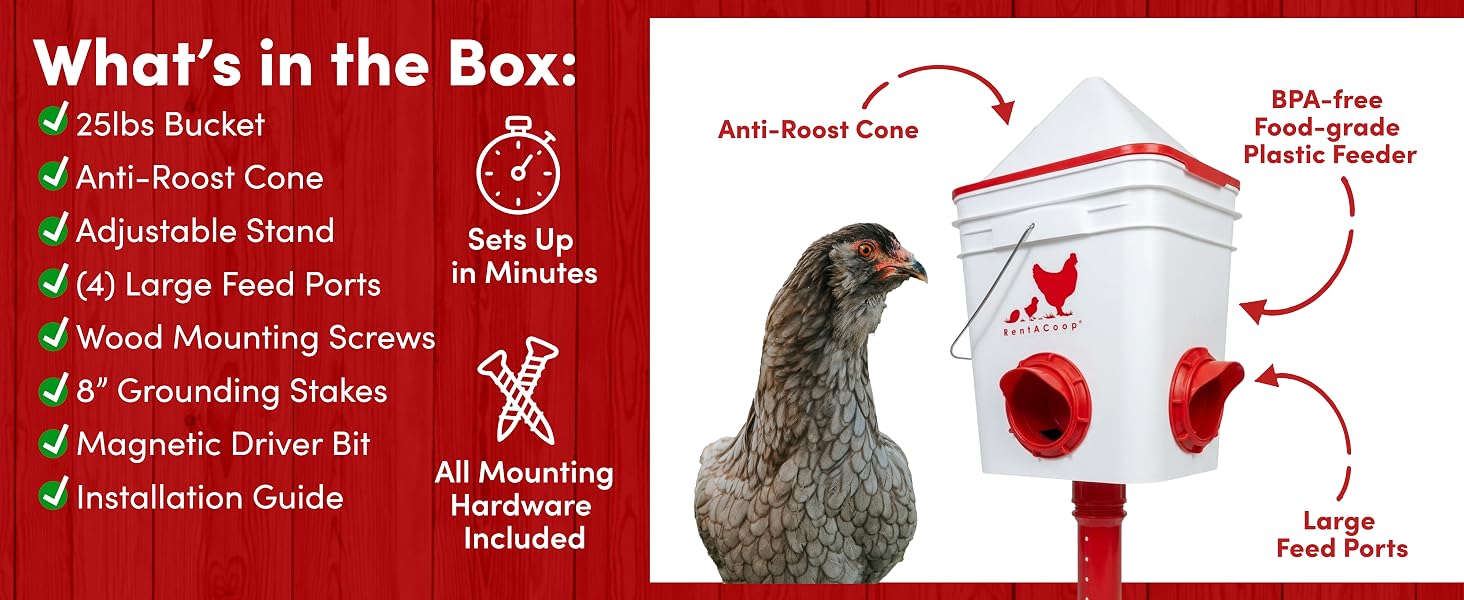 What&amp;#39;s in the box?