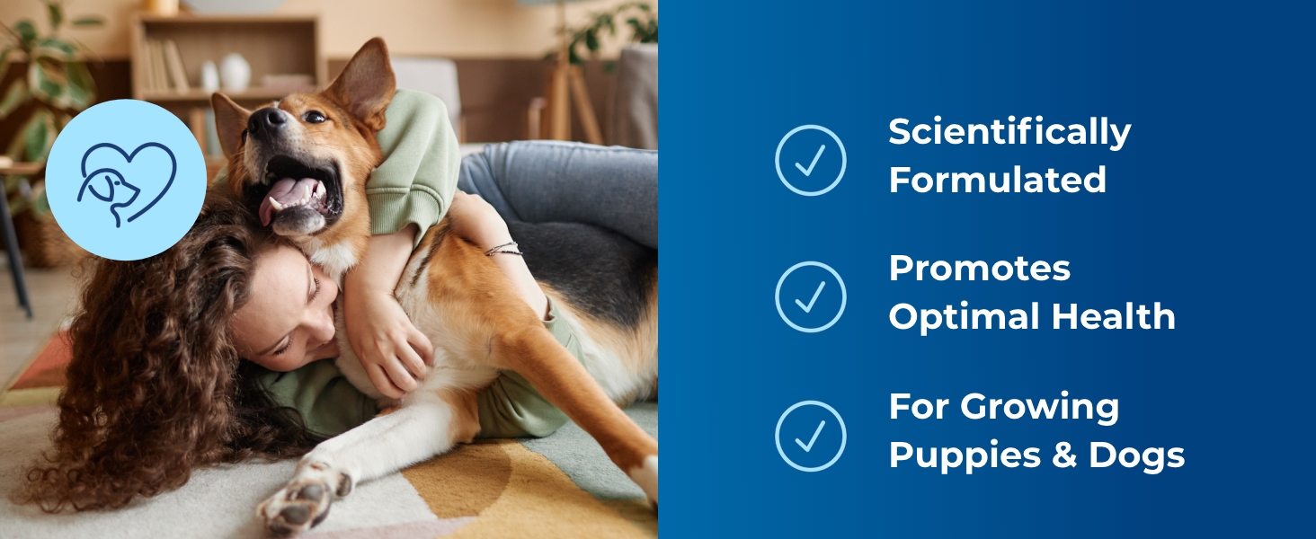 Dog Supplements