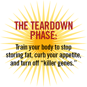 The Teardown Phase: Train the body to stop storing fat, curb its appetite, turn off killer genes