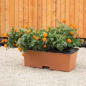 Flowers growing in a terra EarthBox container gardening system