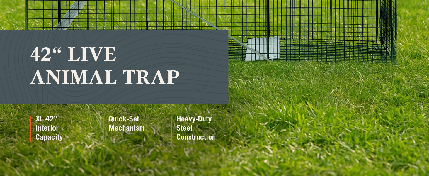 A cage labeled &amp;#34;live animal trap&amp;#34; indicating its purpose for capturing animals safely.