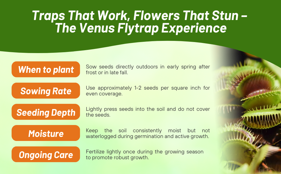 Venus Flytrap Seed Sowing Rate