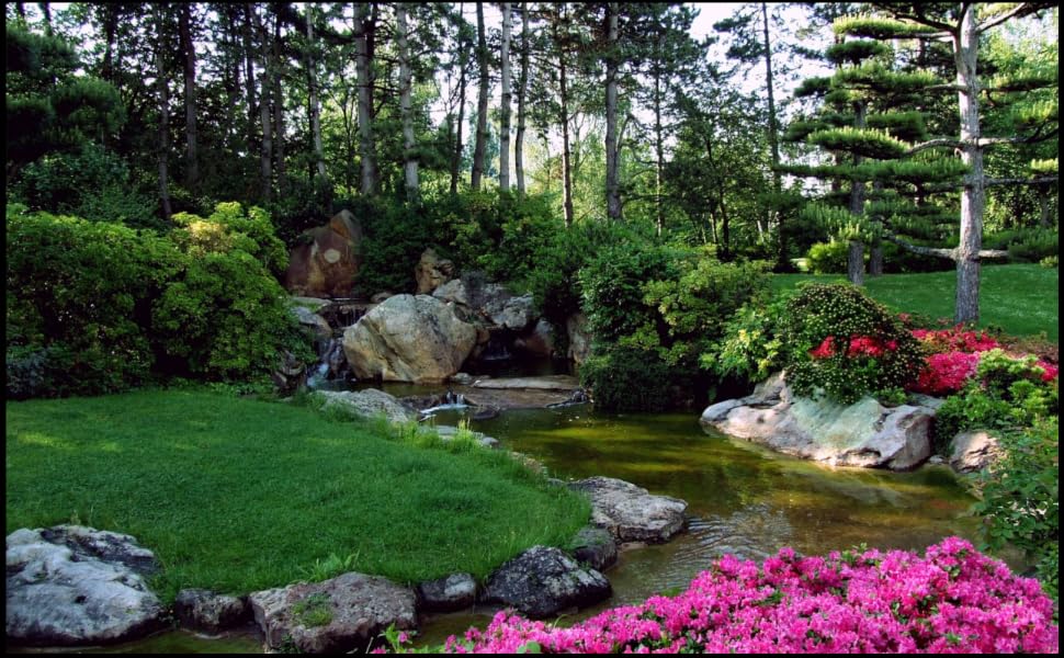 Landscape Image