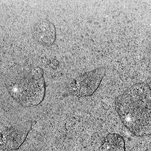 Beaded Concrete
